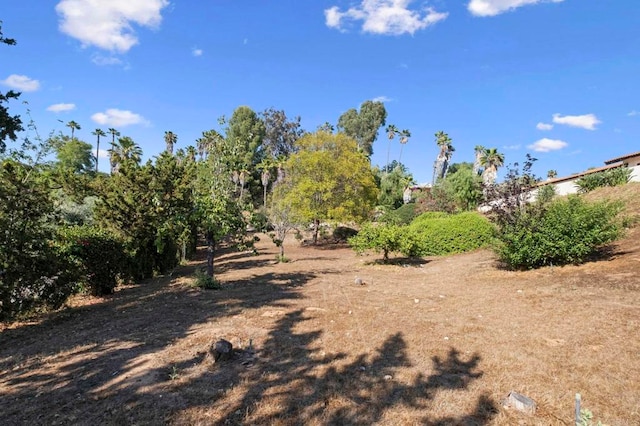 917 Gretna Green Way, Escondido, CA 92025 - view of yard
