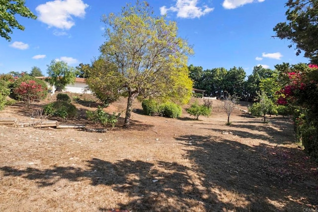 917 Gretna Green Way, Escondido, CA 92025 - view of yard