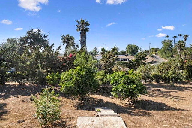 917 Gretna Green Way, Escondido, CA 92025 - view of yard