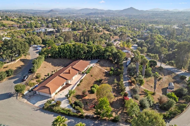 917 Gretna Green Way, Escondido, CA 92025 - photo 65