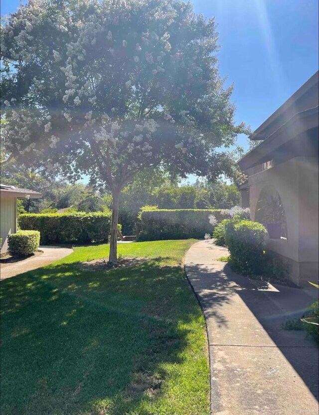 8962 Fletcher Valley Dr, Santee, CA 92071 - photo 5