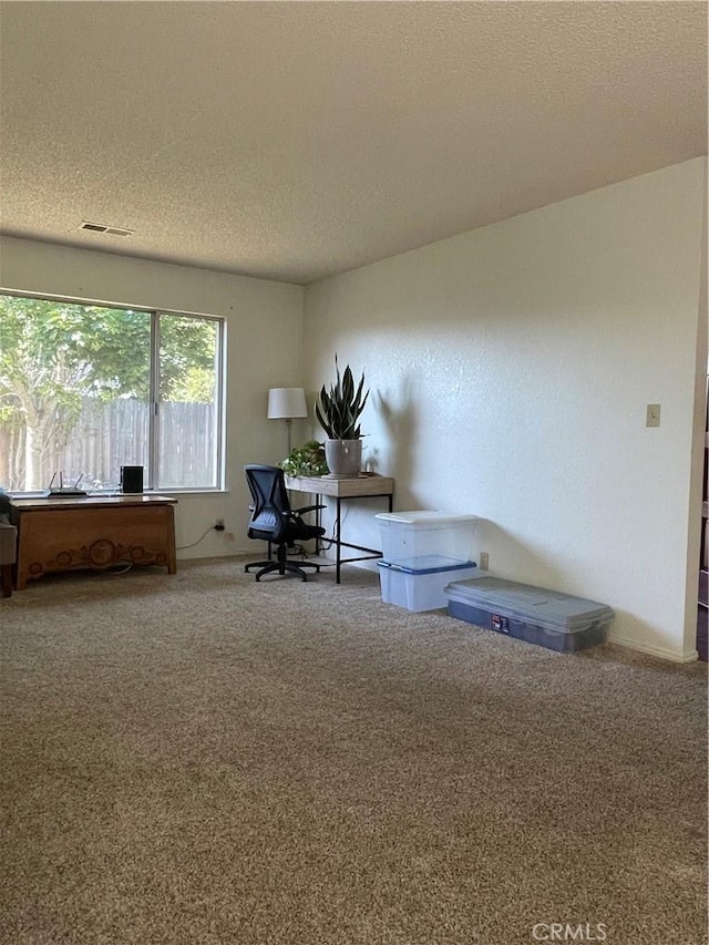 1039 Maple St, Arroyo Grande, CA 93420 - office with carpet floors and a textured ceiling