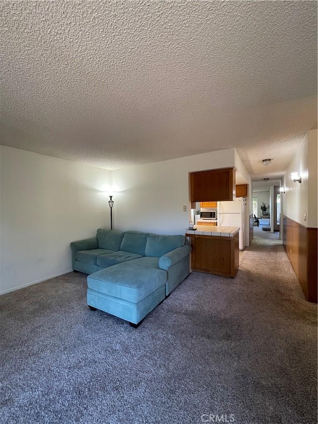 1039 Maple St, Arroyo Grande, CA 93420 - living room with carpet floors and a textured ceiling