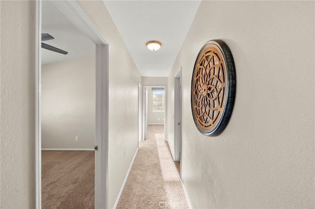 41024 Montelena Cir, Temecula, CA 92591 - hallway featuring light colored carpet and baseboards