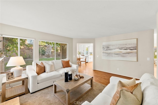 41024 Montelena Cir, Temecula, CA 92591 - living room featuring light wood finished floors
