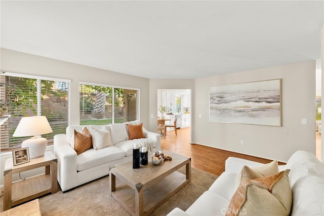 41024 Montelena Cir, Temecula, CA 92591 - living room with light wood-style floors