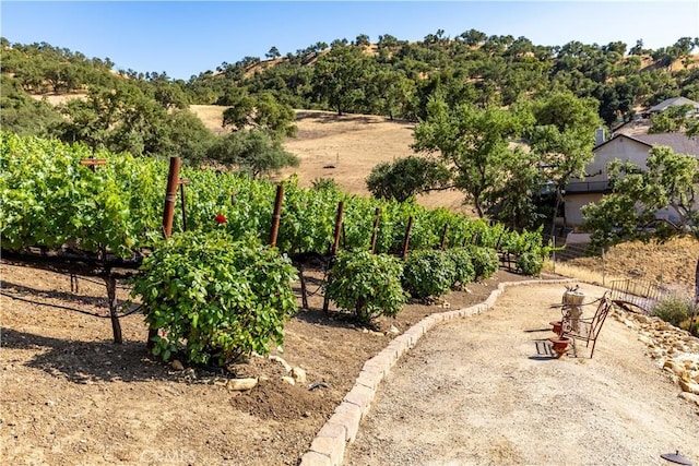9942 Sunfish Cir, Paso Robles, CA 93446 - view of yard with a rural view