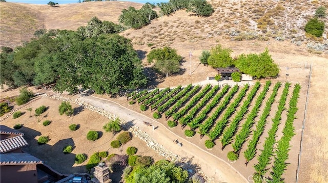 9942 Sunfish Cir, Paso Robles, CA 93446 - aerial view of sparsely populated area