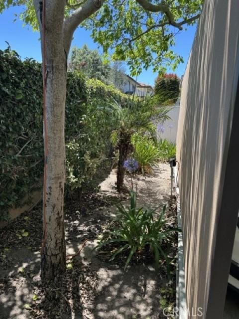 2322 249th St, Lomita, CA 90717 - view of patio