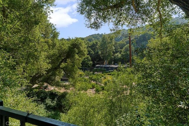 1581 N Topanga Canyon Blvd, Topanga, CA 90290 - photo 30