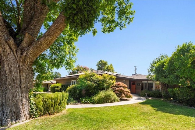8 Barton Pkwy, Oakdale, CA 95361 - view of green lawn