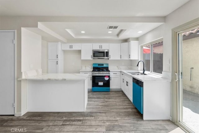 1077 Santo Antonio Dr Unit 54, Colton, CA 92324 - kitchen with stainless steel appliances, light wood-style flooring, white cabinets, a tray ceiling, and recessed lighting