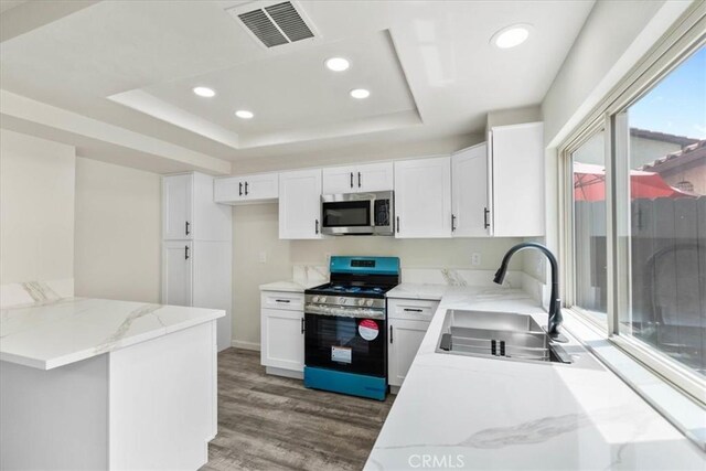 1077 Santo Antonio Dr Unit 54, Colton, CA 92324 - kitchen with appliances with stainless steel finishes, wood finished floors, light stone countertops, a tray ceiling, and recessed lighting