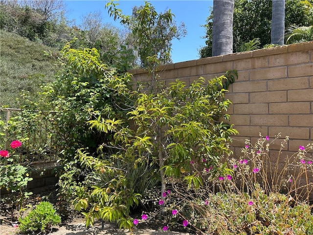 24615 Kings Rd, Laguna Niguel, CA 92677 - view of yard