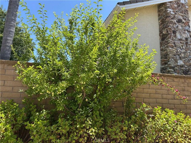 24615 Kings Rd, Laguna Niguel, CA 92677 - view of yard