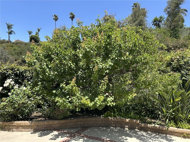 24615 Kings Rd, Laguna Niguel, CA 92677 - water view