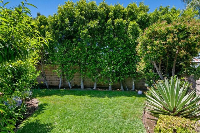 10225 Donna Ave, Northridge, CA 91324 - view of yard