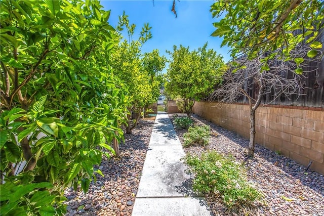 5169 Telefair Way, Riverside, CA 92506 - view of fenced backyard