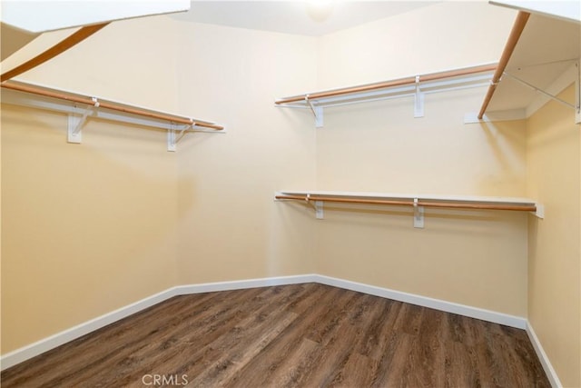 26865 Shelter Cove Ct, Menifee, CA 92585 - spacious closet with wood finished floors