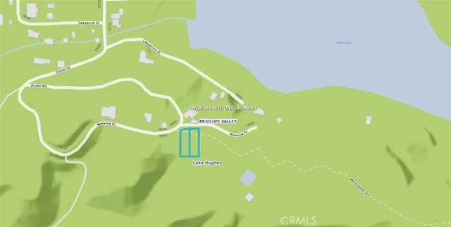 0 Newview Dr, Lake Hughes, CA 93532