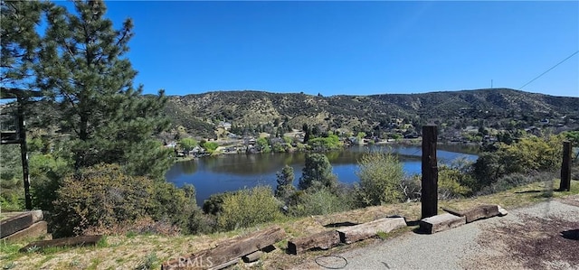 0 Newview Dr, Lake Hughes, CA 93532