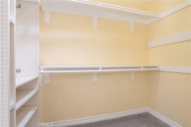 24302 Vista Ridge Dr, Valencia, CA 91355 - spacious closet with carpet floors