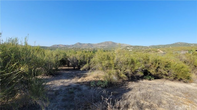 35370 Five Mile Creek Rd, Hemet, CA 92544 - photo 36