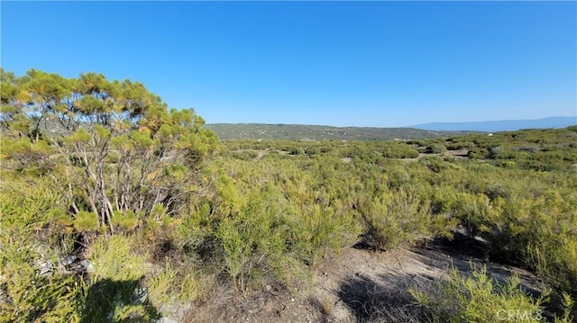 35370 Five Mile Creek Rd, Hemet, CA 92544 - photo 33