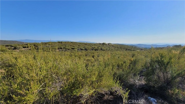 35370 Five Mile Creek Rd, Hemet, CA 92544 - photo 31