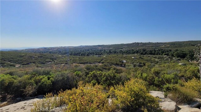 35370 Five Mile Creek Rd, Hemet, CA 92544 - photo 20
