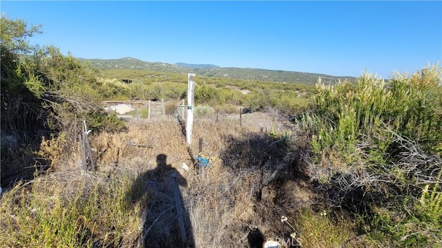 35370 Five Mile Creek Rd, Hemet, CA 92544 - photo 35