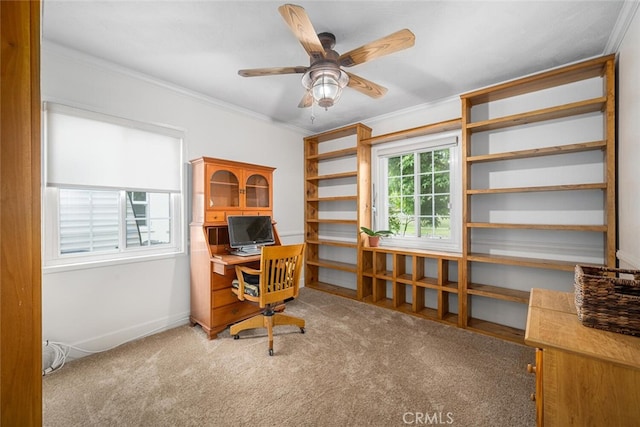 7028 E Parkcrest St, Long Beach, CA 90808 - carpeted office space featuring ornamental molding and a ceiling fan