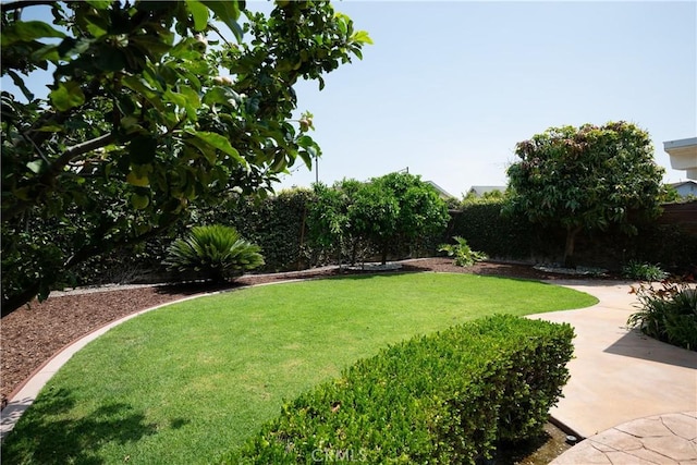 5302 Bryant Cir, Westminster, CA 92683 - view of grassy yard