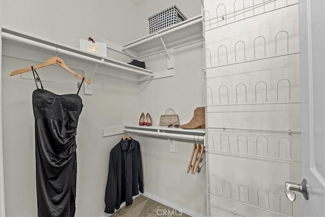 74 Garrison Loop, Ladera Ranch, CA 92694 - walk in closet with carpet