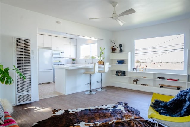 3311 Carolina S, San Pedro, CA 90731 - living area with a heating unit, light wood finished floors, and ceiling fan