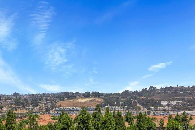 4722 Regatta Ln, San Diego, CA 92154 - city view