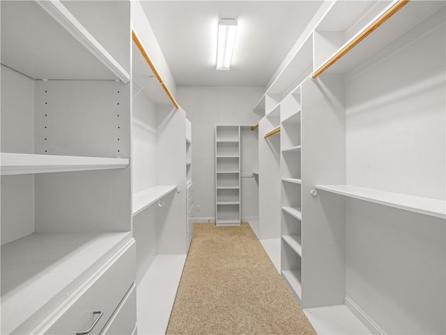 6660 N St Catherine Ct, Fresno, CA 93711 - view of spacious closet