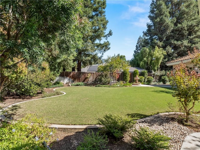 6660 N St Catherine Ct, Fresno, CA 93711 - view of yard
