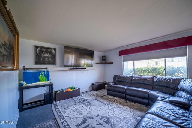 1742 Forar Cir, Camarillo, CA 93010 - living area featuring carpet and baseboards