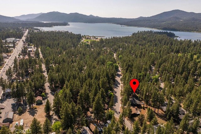 41692 Park Ave, Big Bear Lake, CA 92315 - photo 51
