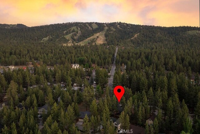 41692 Park Ave, Big Bear Lake, CA 92315 - photo 49