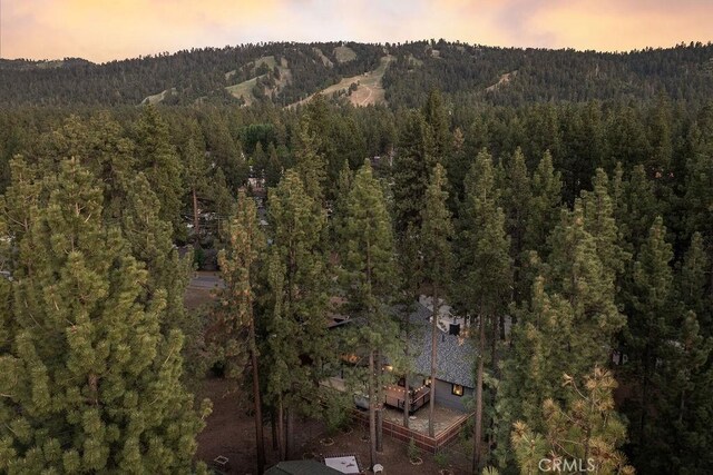 41692 Park Ave, Big Bear Lake, CA 92315 - photo 50