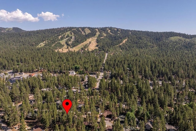 41692 Park Ave, Big Bear Lake, CA 92315 - photo 53