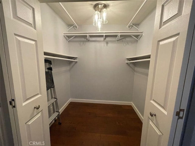 3641 S Bear St Unit F, Santa Ana, CA 92704 - walk in closet with dark wood-style floors