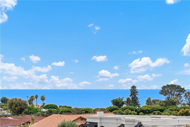 32512 Seven Seas Dr, Dana Point, CA 92629 - water view