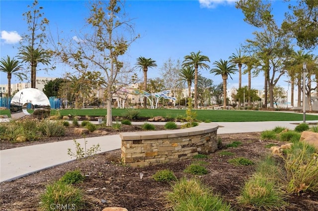135 Acamar, Irvine, CA 92618 - surrounding community with a lawn