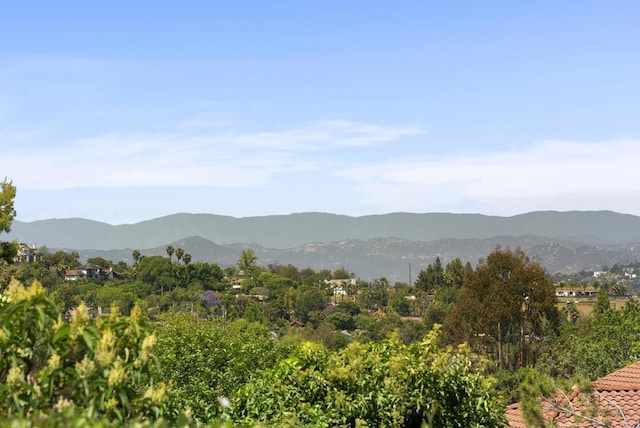 2221 Cortina Cir, Escondido, CA 92029 - view of mountain background