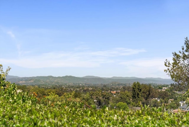 2221 Cortina Cir, Escondido, CA 92029 - view of mountain backdrop