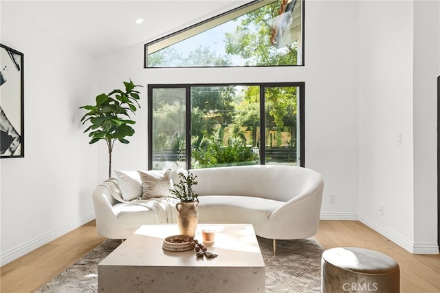 4016 Old Topanga Canyon Rd, Calabasas, CA 91302 - living area featuring light wood-type flooring and recessed lighting