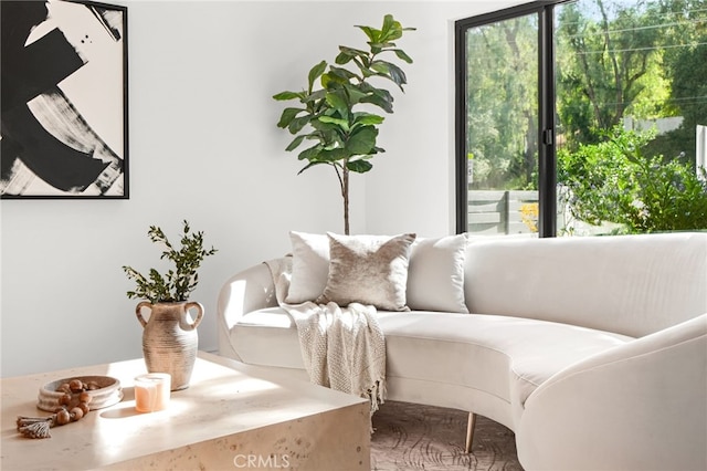 4016 Old Topanga Canyon Rd, Calabasas, CA 91302 - living area featuring plenty of natural light
